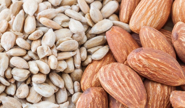 Almonds and Sunflower Seeds