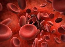 blood-cells