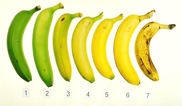Banana Ripeness