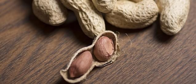 nuts-article