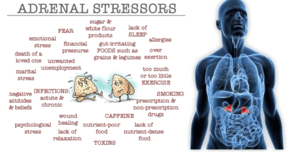 Adrenal Stressors